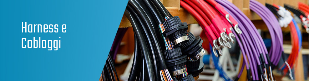 Harness - Cablaggi