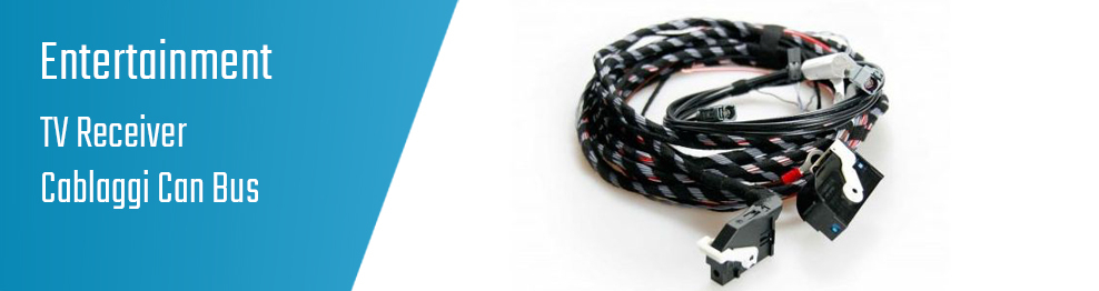 TV Recevier - Cablaggi Can Bus