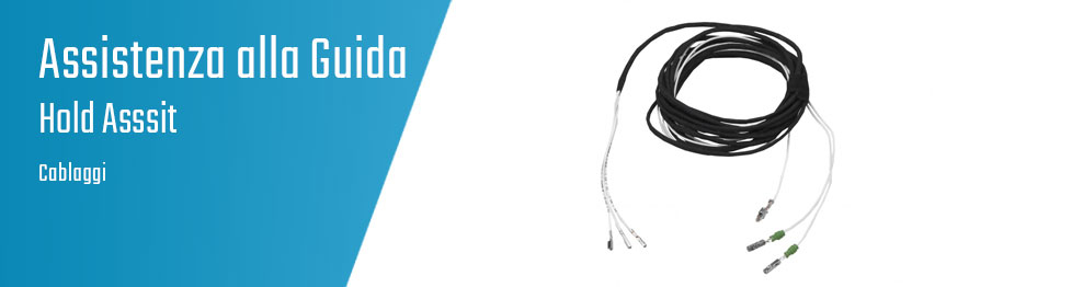 Hold Assist - Cablaggi