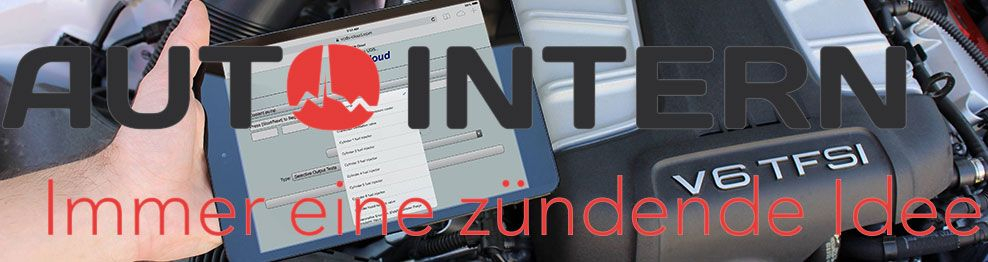 Diagnostica - Auto Intern VCDS