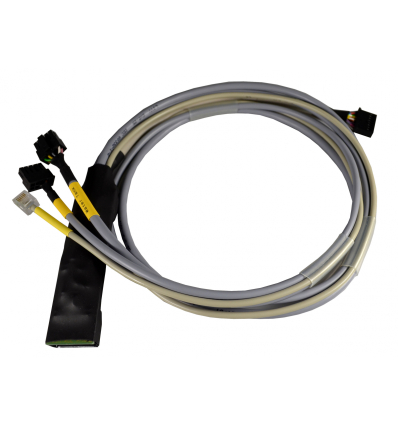 Cablaggio per elettroblocco CBE DS-300 - Caracontrol CCW011